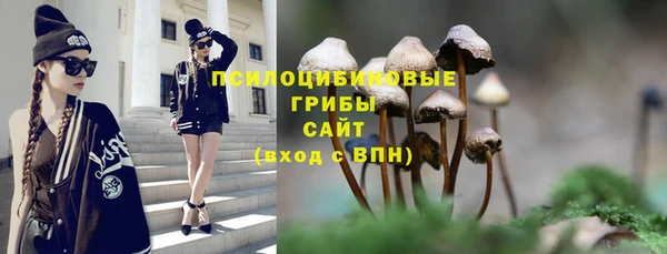 мдпв Майский