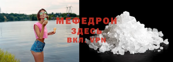прущие грибы Медногорск