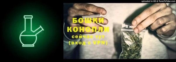 мдпв Майский