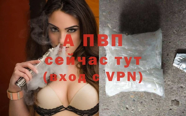 стаф Медвежьегорск