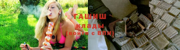 прущие грибы Медногорск