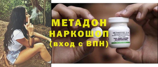 прущие грибы Медногорск