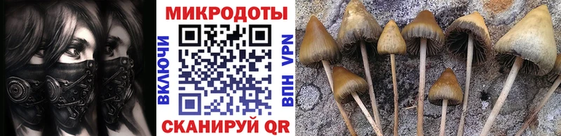 Псилоцибиновые грибы Psilocybe  цены наркотик  Усолье 
